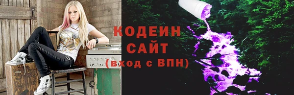 крисы Абаза