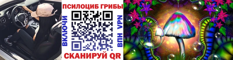 площадка состав  Юрюзань  Псилоцибиновые грибы Cubensis 