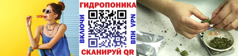 Каннабис сатива  Юрюзань 